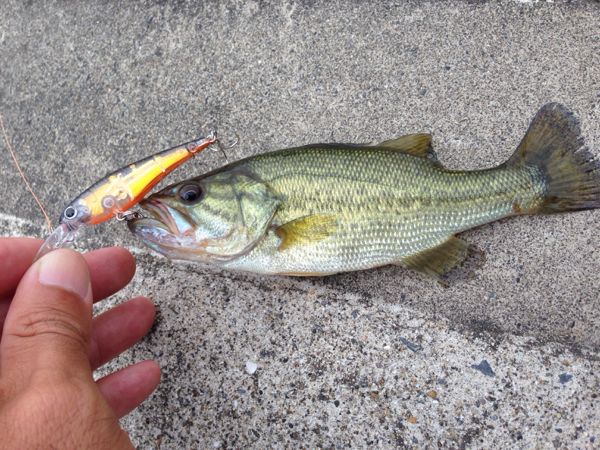 rblog-20140827163842-01.jpg
