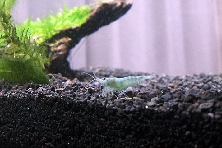 201403102