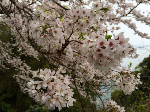 rblog-20160406174853-03.jpg