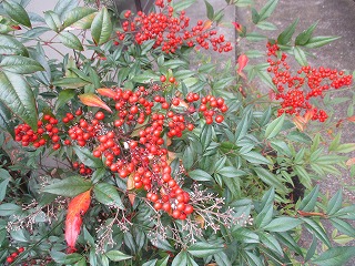IMG_3459ss.jpg