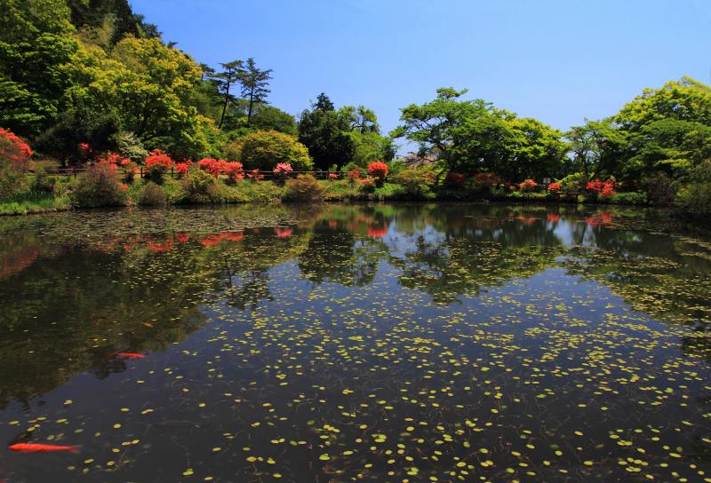 鳥見山_4-4.jpg