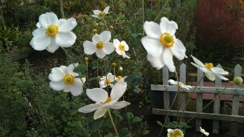 rblog-20171009084408-02.jpg