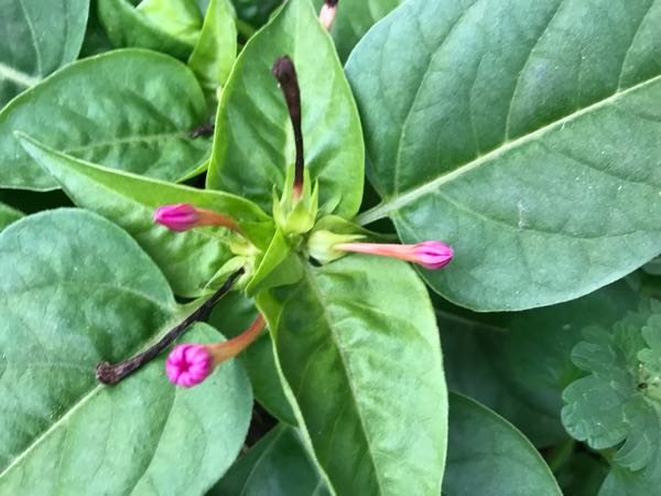 rblog-20181203161249-04.jpg