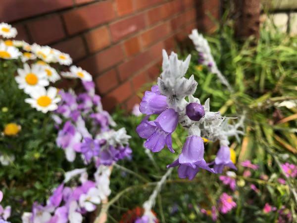 rblog-20190401163447-01.jpg