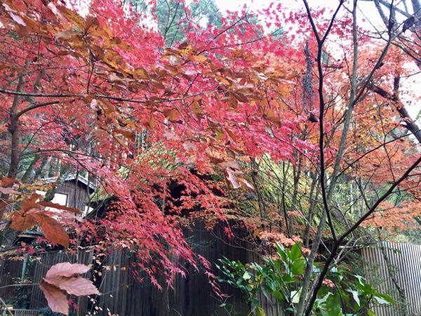 rblog-20161212192235-03.jpg
