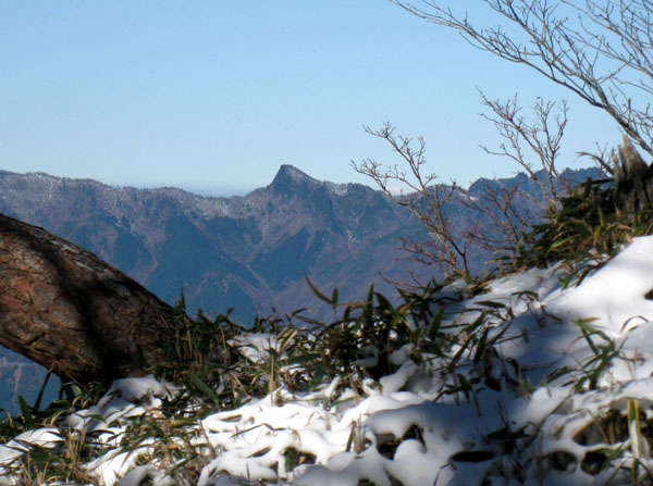 大峯 行者還岳に花の咲く頃 花を訪ねる山旅 楽天ブログ