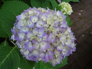 DSC01281.jpg