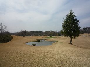 P1090006.JPG