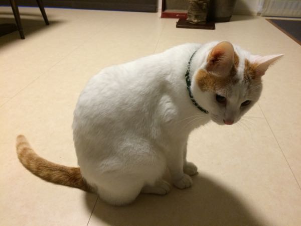 rblog-20151012063753-02.jpg
