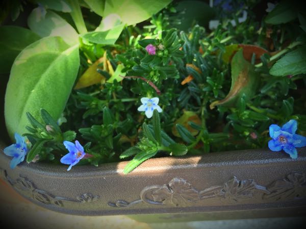 rblog-20160430181329-00.jpg