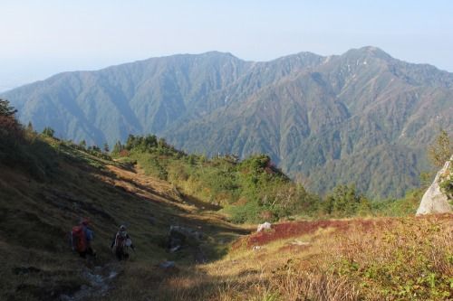 毛勝山西北尾根の登山道草刈りからも下りたやまやろう | やまぶろぐ・登る呑む撮る滑る山ブロガー - 楽天ブログ
