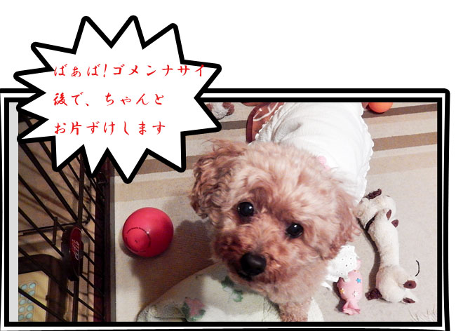 こころ２１