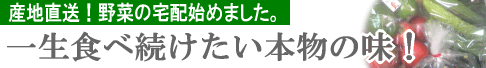 産地直送！野菜の宅配始めました。