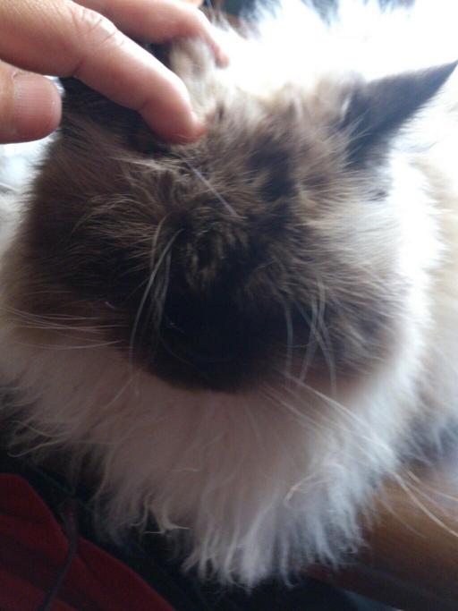 BahHSmmCIAA5WQA.jpg