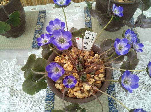 rblog-20140302181119-01.jpg