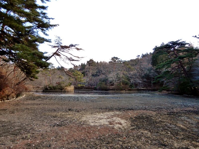 長谷池4
