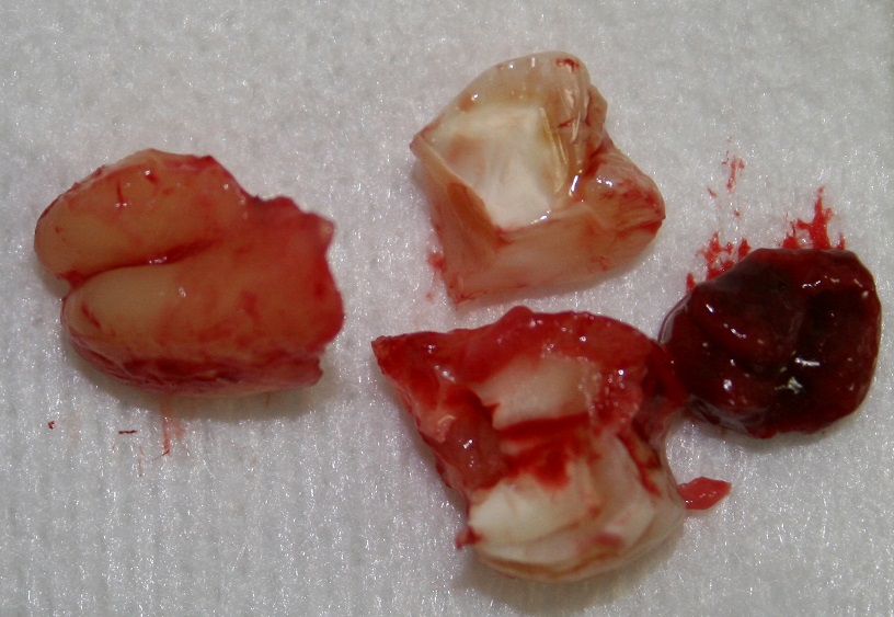 IMG_5588.JPG
