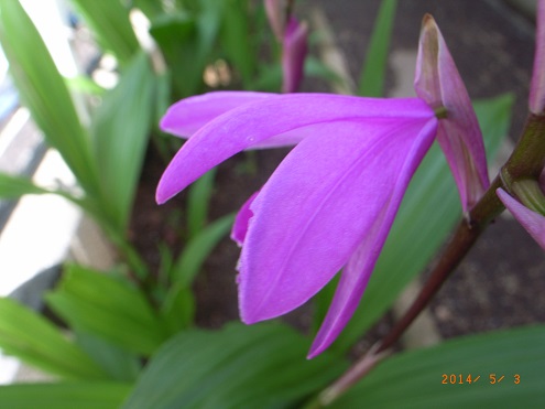 06