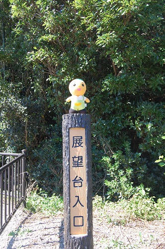 s-DSC_0420.jpg