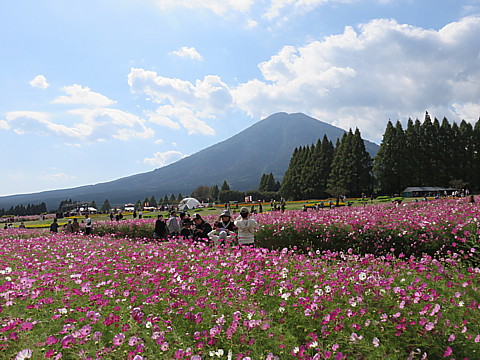 IMG_6133.jpg