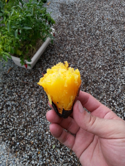 20141012_163551.jpg