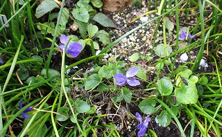 IMG_9684ss.jpg