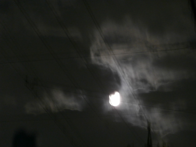 PA290496.JPG