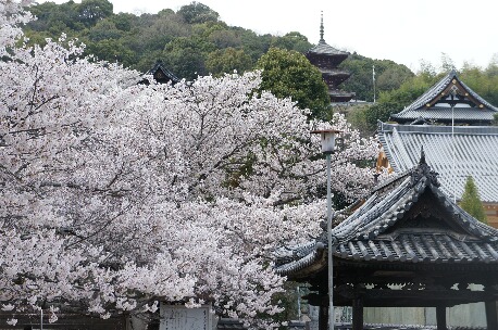 ちっぴーH22.3.29 009.jpg