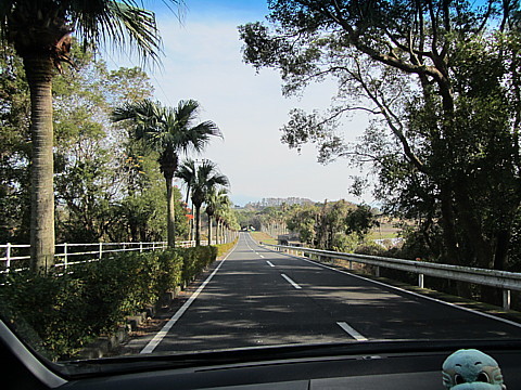 IMG_2873.jpg