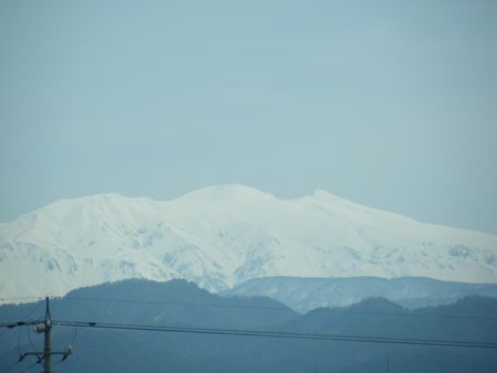 DSCF8116-450.jpg