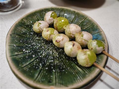P1140142.jpg
