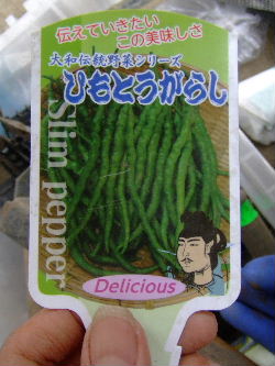 DSCF2175.jpg