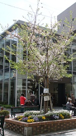 IMG_8342-9.jpg