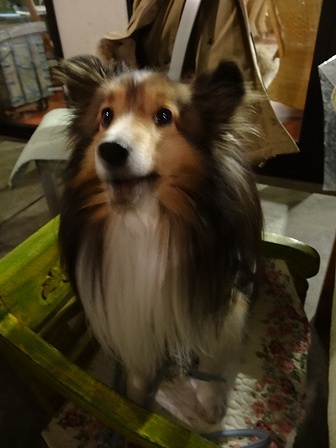 DSC01368.jpg
