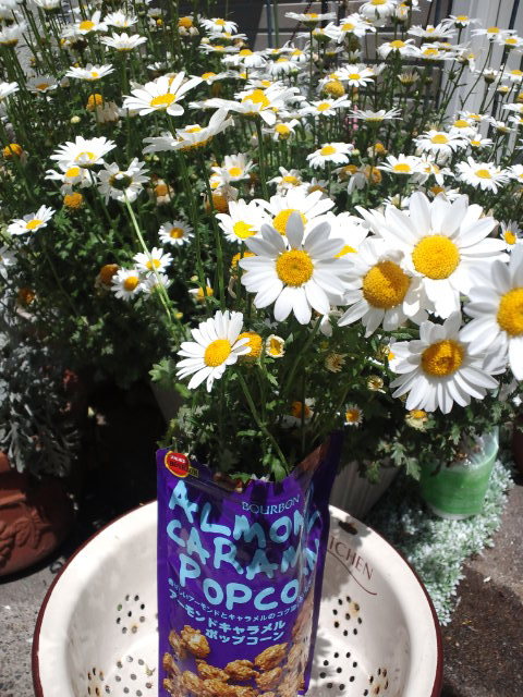 ブルボン　アーモンド　キャラメル　ポップコーンの袋が花瓶