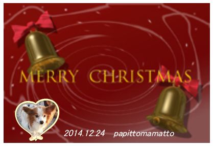 パピママ♪さん