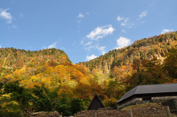 称名滝の紅葉