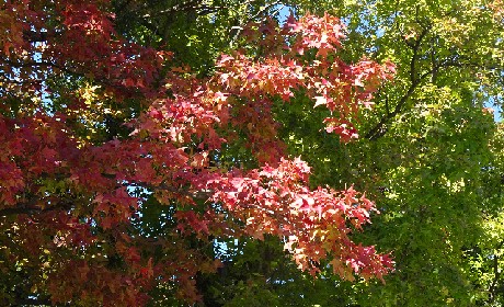 DSC02770.JPG