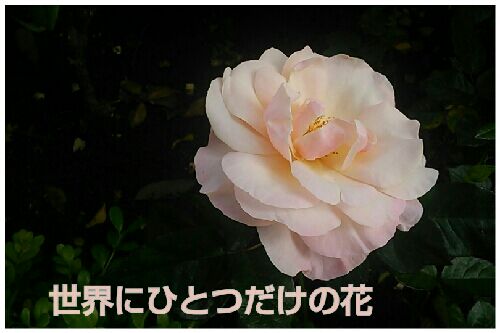 rblog-20160510200304-00.jpg