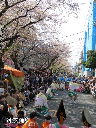 馬込文士村大桜まつり