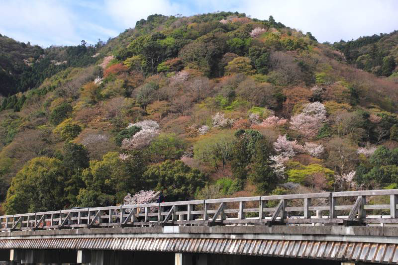 渡月橋_006.jpg