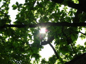 06-03moriaruki (3).JPG