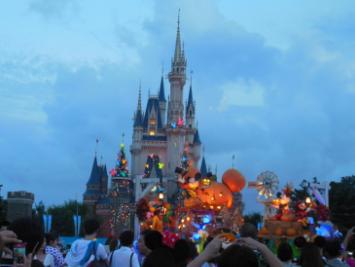 tdl2013.jpg