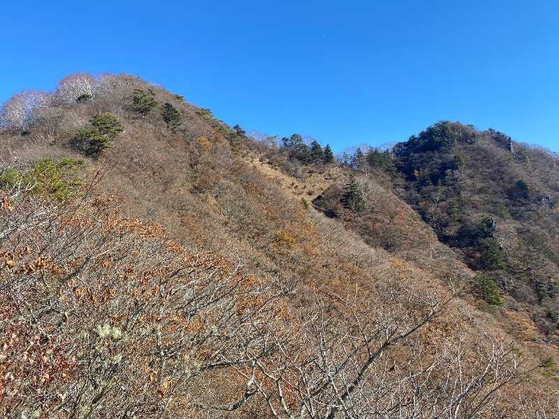 ニセ八ツ~金ヶ岳（かながたけ・1,764m）と茅ヶ岳（かやがたけ・1,704m）(2) | 醍醐山と下部（しもべ）温泉 - 楽天ブログ