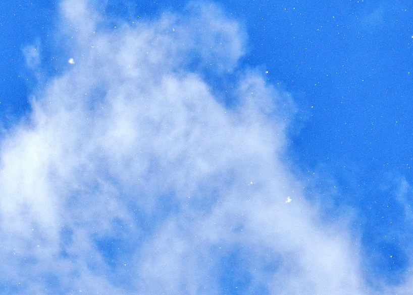 空4.JPG
