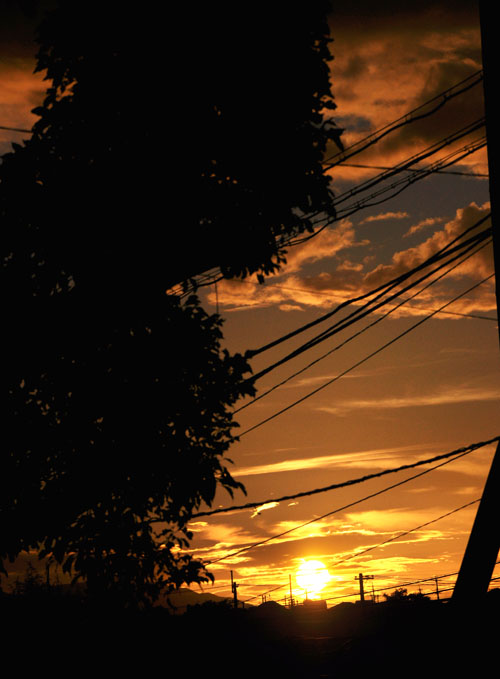 夕陽４