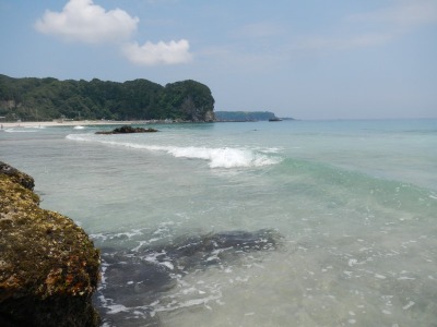 DSCN3117.jpg