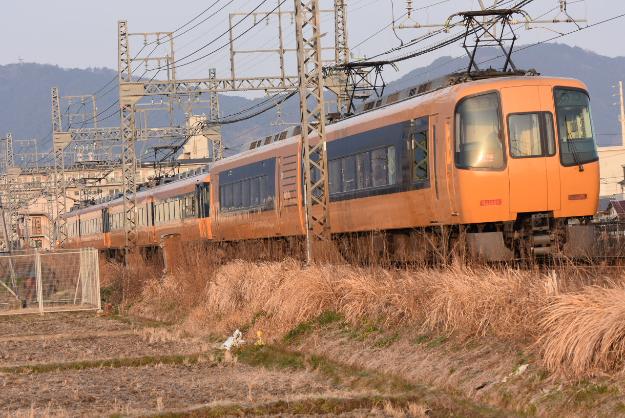 DSC_4734.JPG