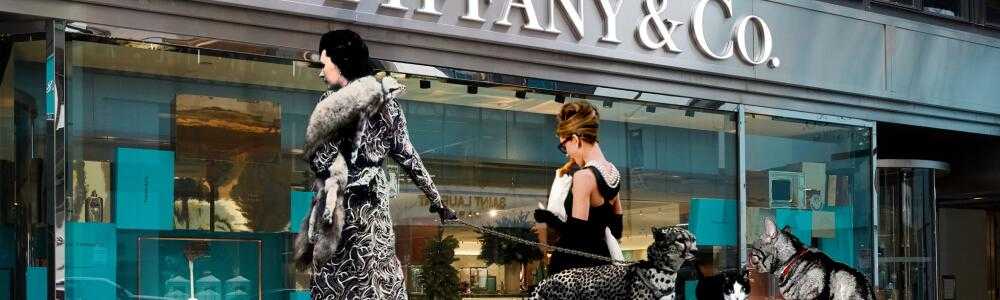 耳（ミミ）とチャッピの布団