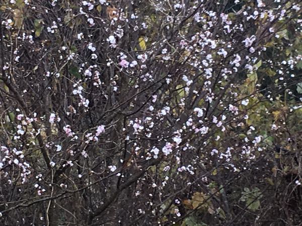 rblog-20181203063425-03.jpg